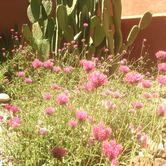 Meet your Posher, Christina - Picture 7 of 8